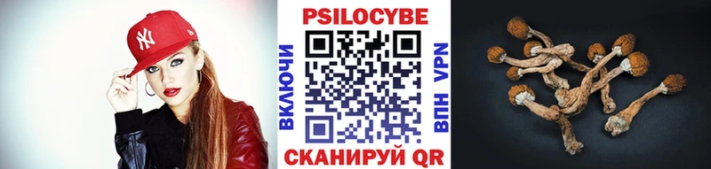 Галлюциногенные грибы MAGIC MUSHROOMS  Купить где  Рязань 